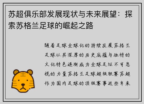 苏超俱乐部发展现状与未来展望：探索苏格兰足球的崛起之路