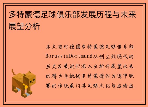 多特蒙德足球俱乐部发展历程与未来展望分析