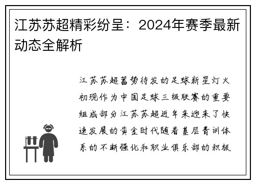 江苏苏超精彩纷呈：2024年赛季最新动态全解析
