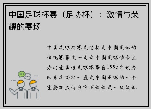 中国足球杯赛（足协杯）：激情与荣耀的赛场